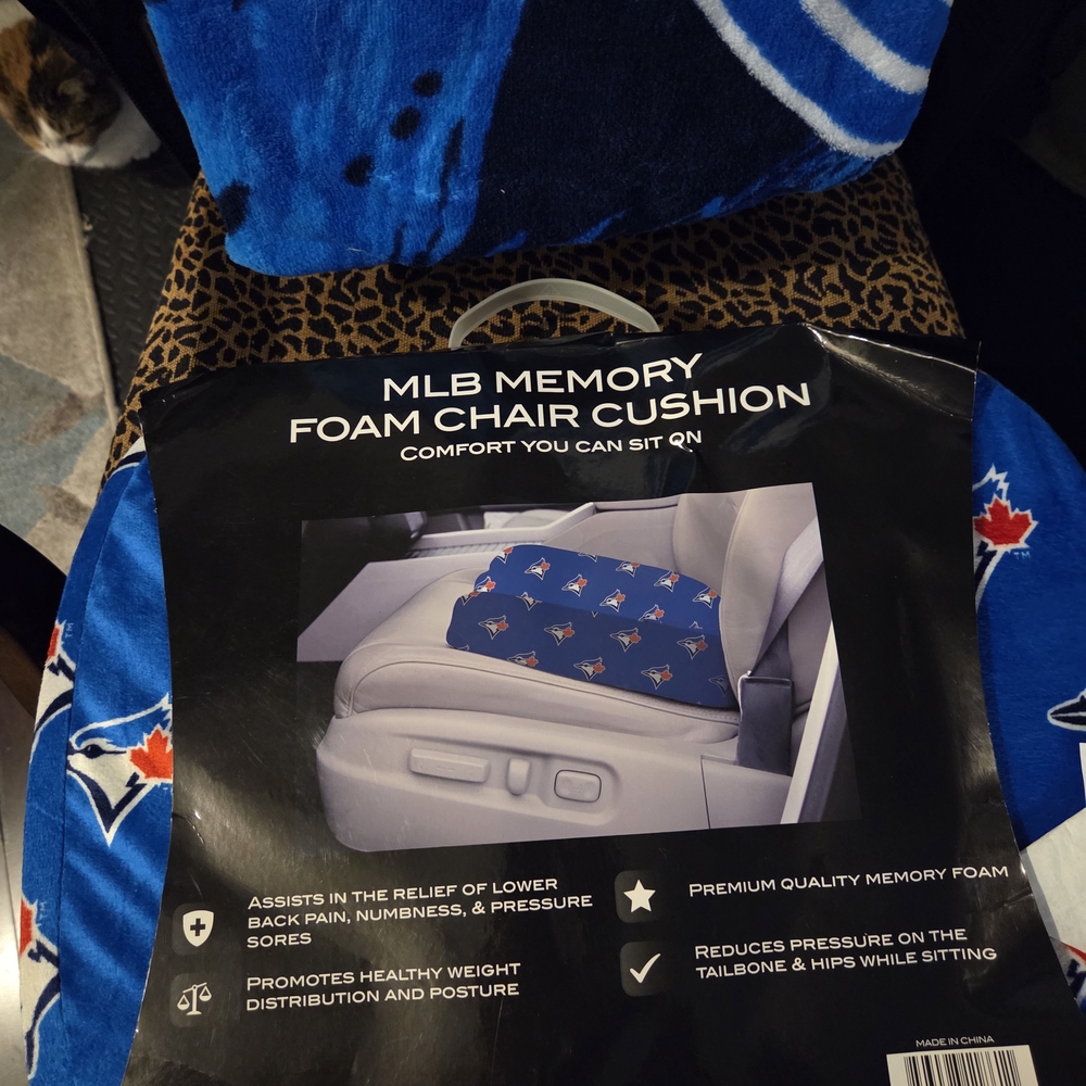 MLB Toronto Blue Jays Blue Team Foam Chair Cushion